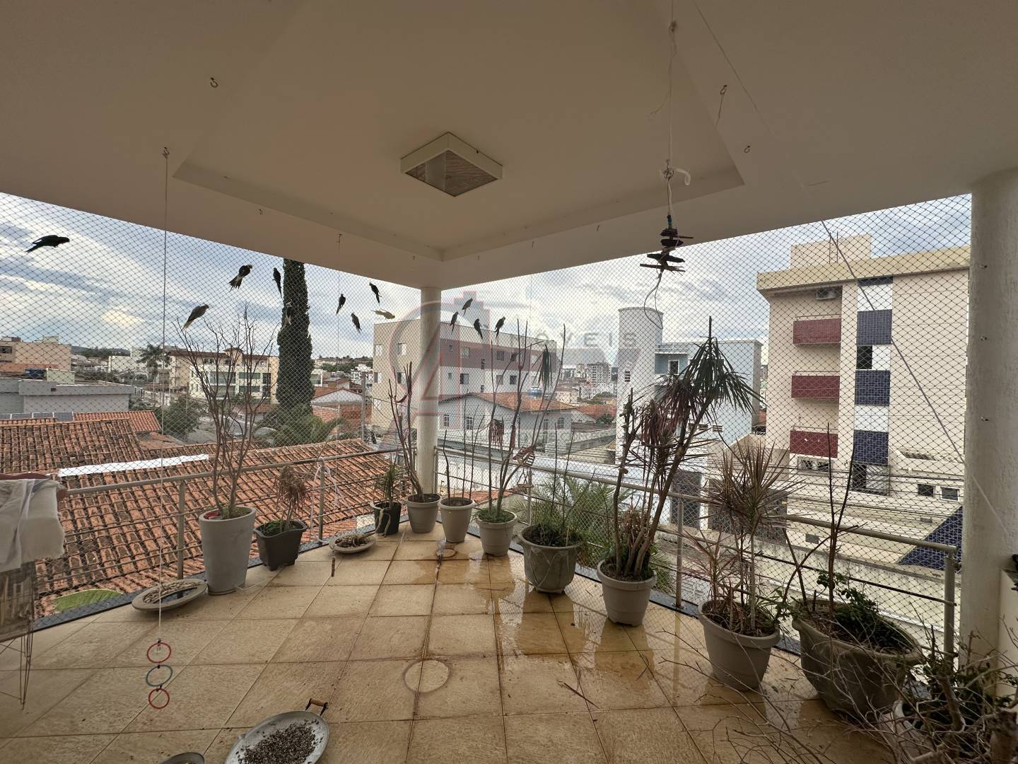 Casa, 4 quartos, 360 m² - Foto 33