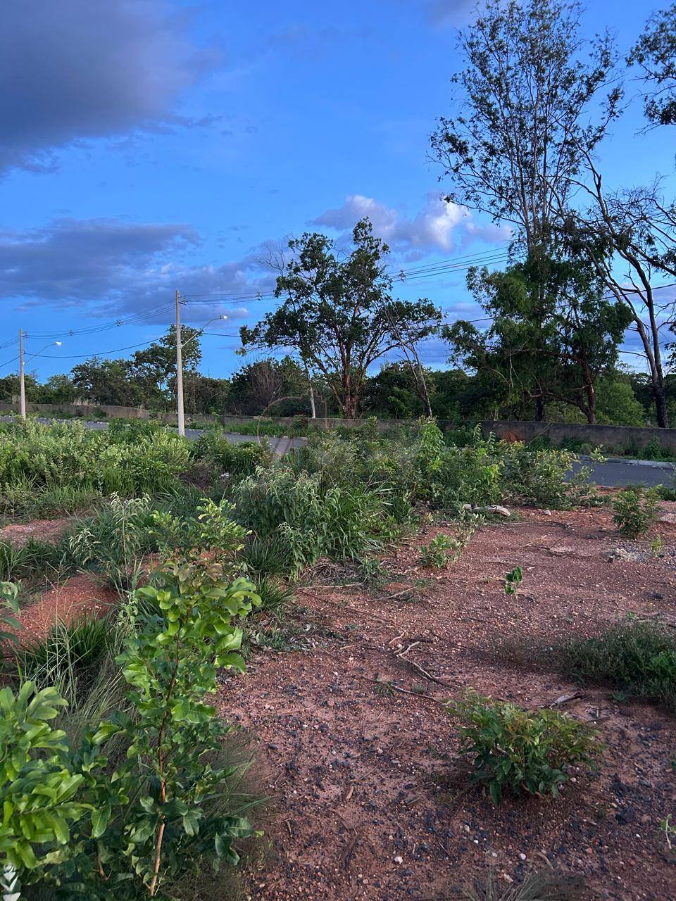 Terreno, 264 m² - Foto 1