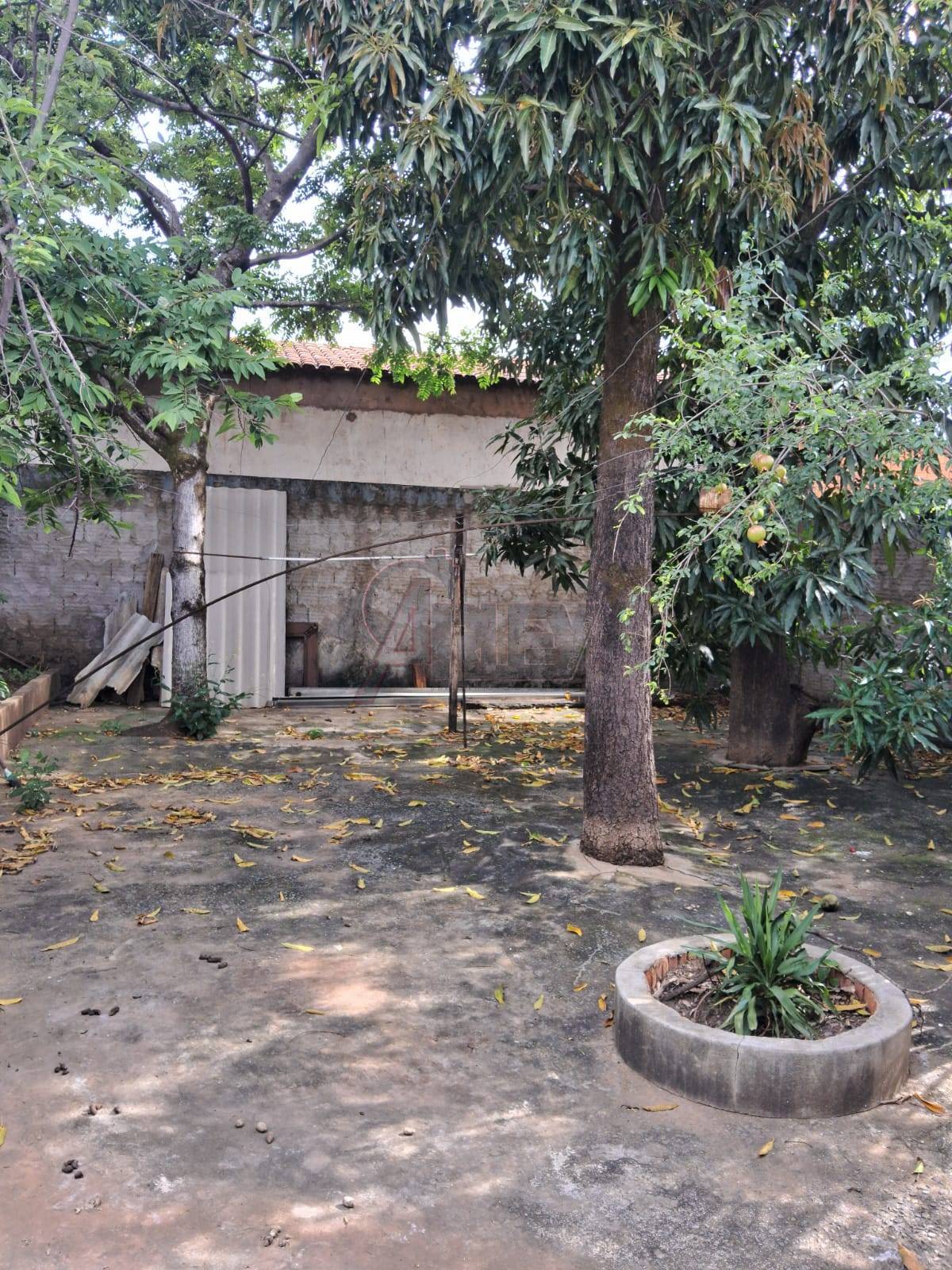 Casa, 4 quartos, 100 m² - Foto 4