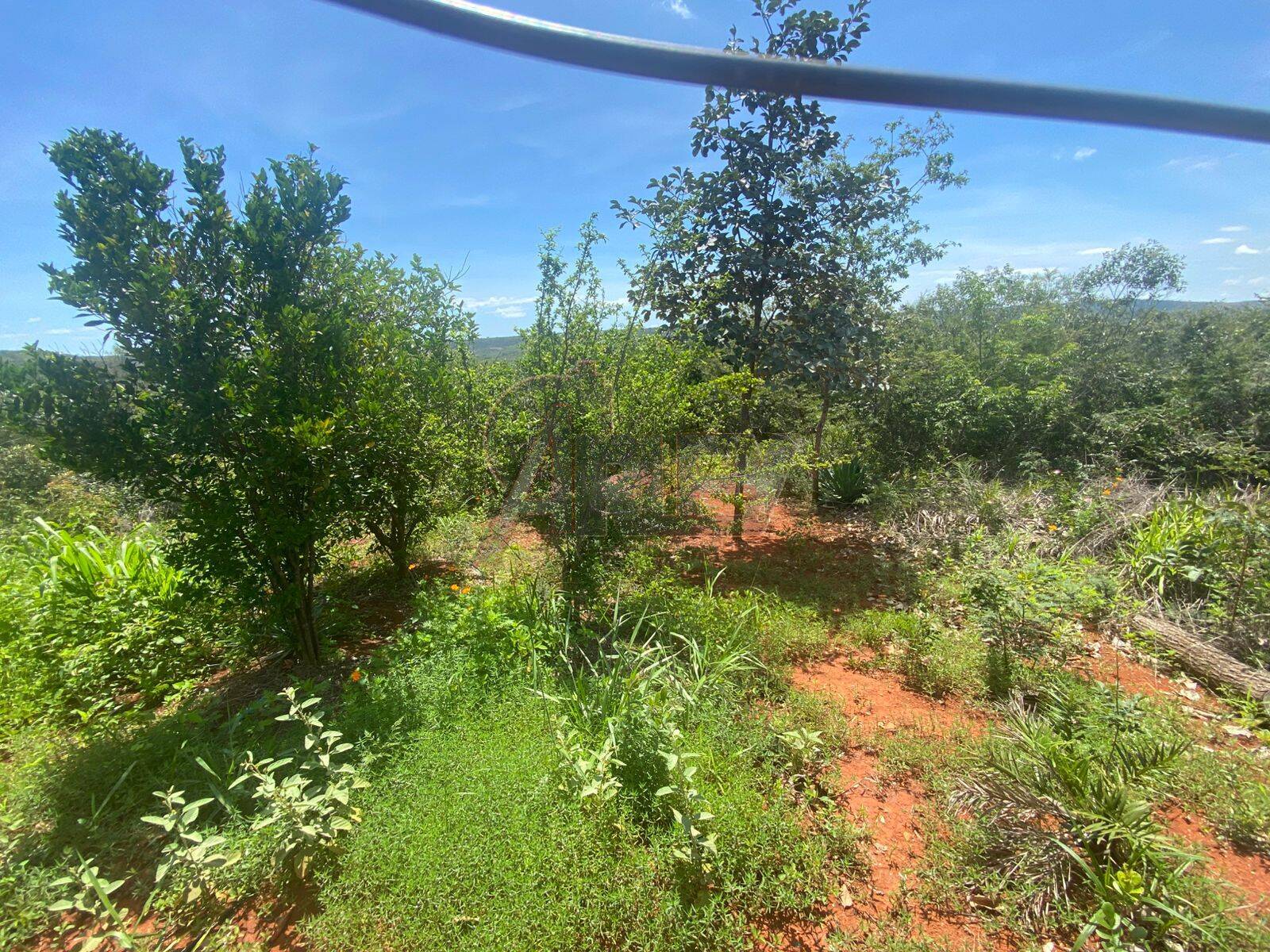 Terreno - Foto 11
