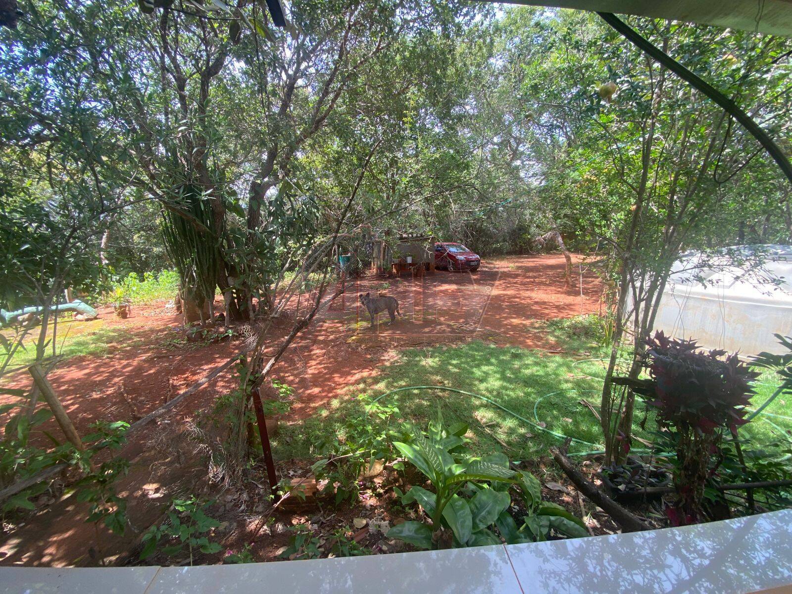 Terreno - Foto 13