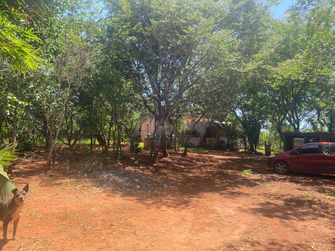 Terreno - Foto 16