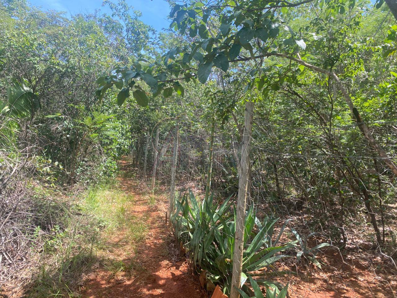 Terreno - Foto 15
