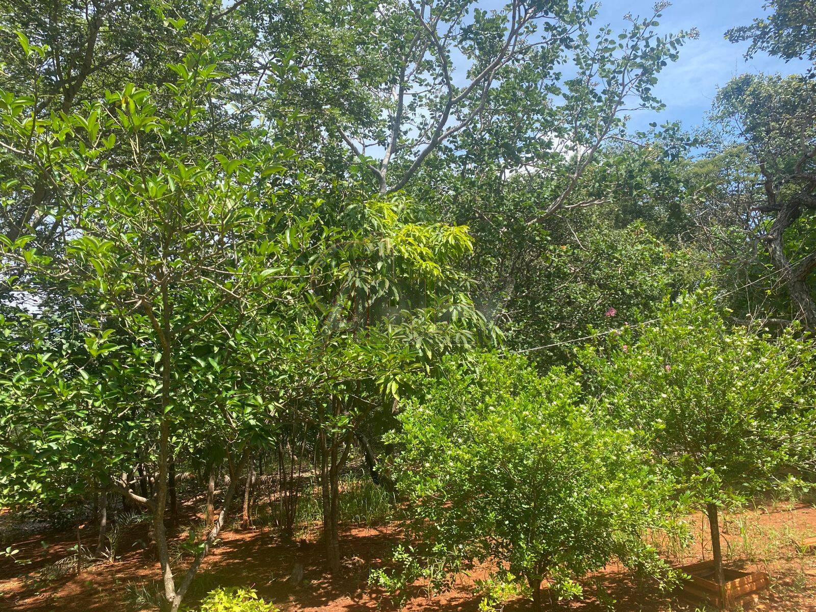 Terreno - Foto 26