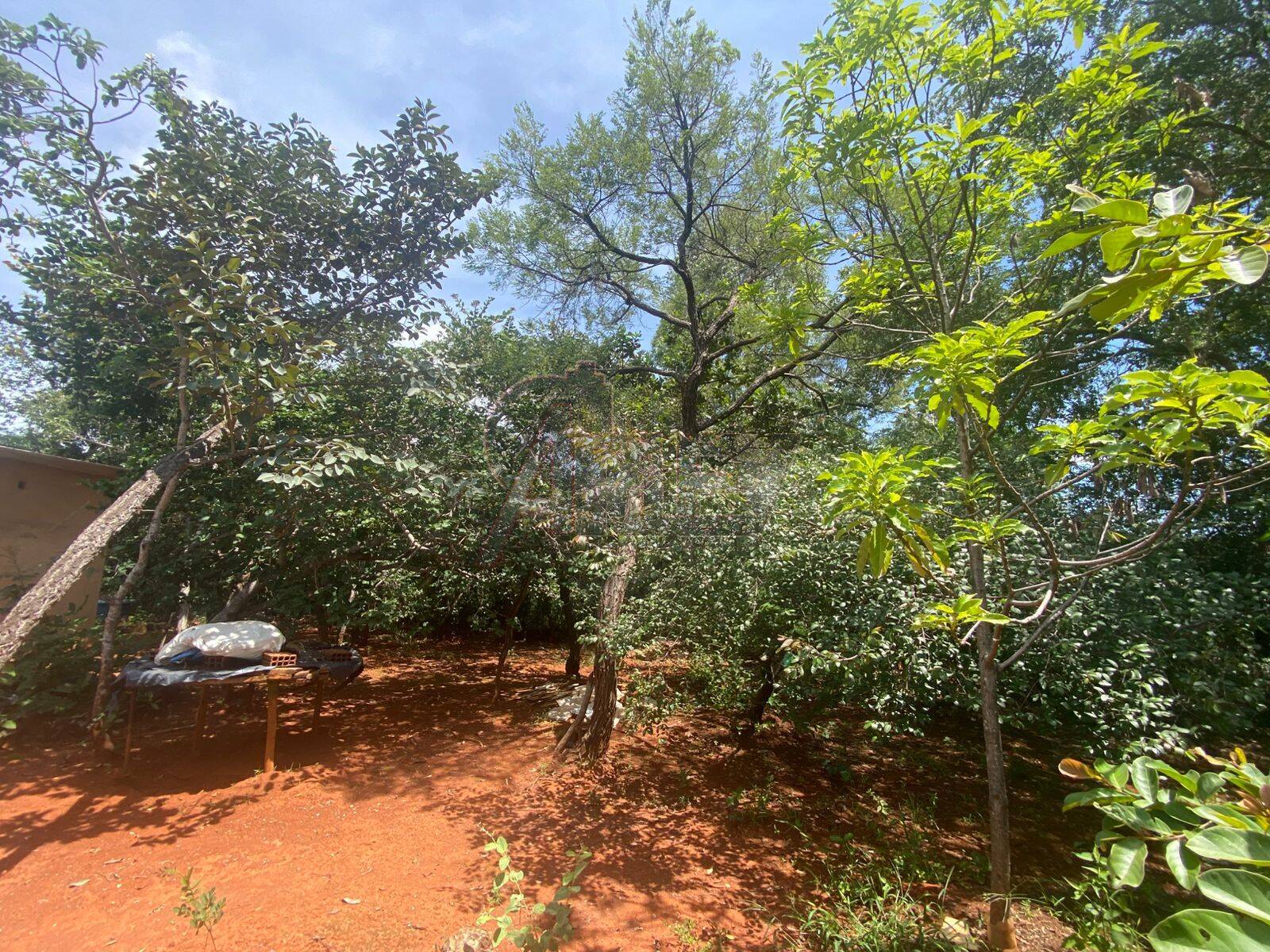 Terreno - Foto 27