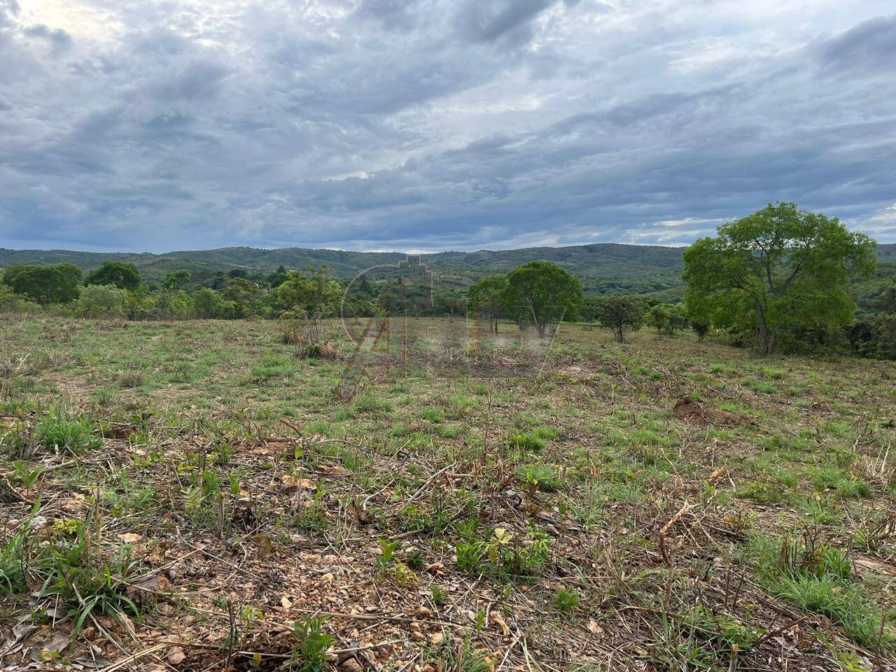 Terreno, 2 hectares - Foto 2