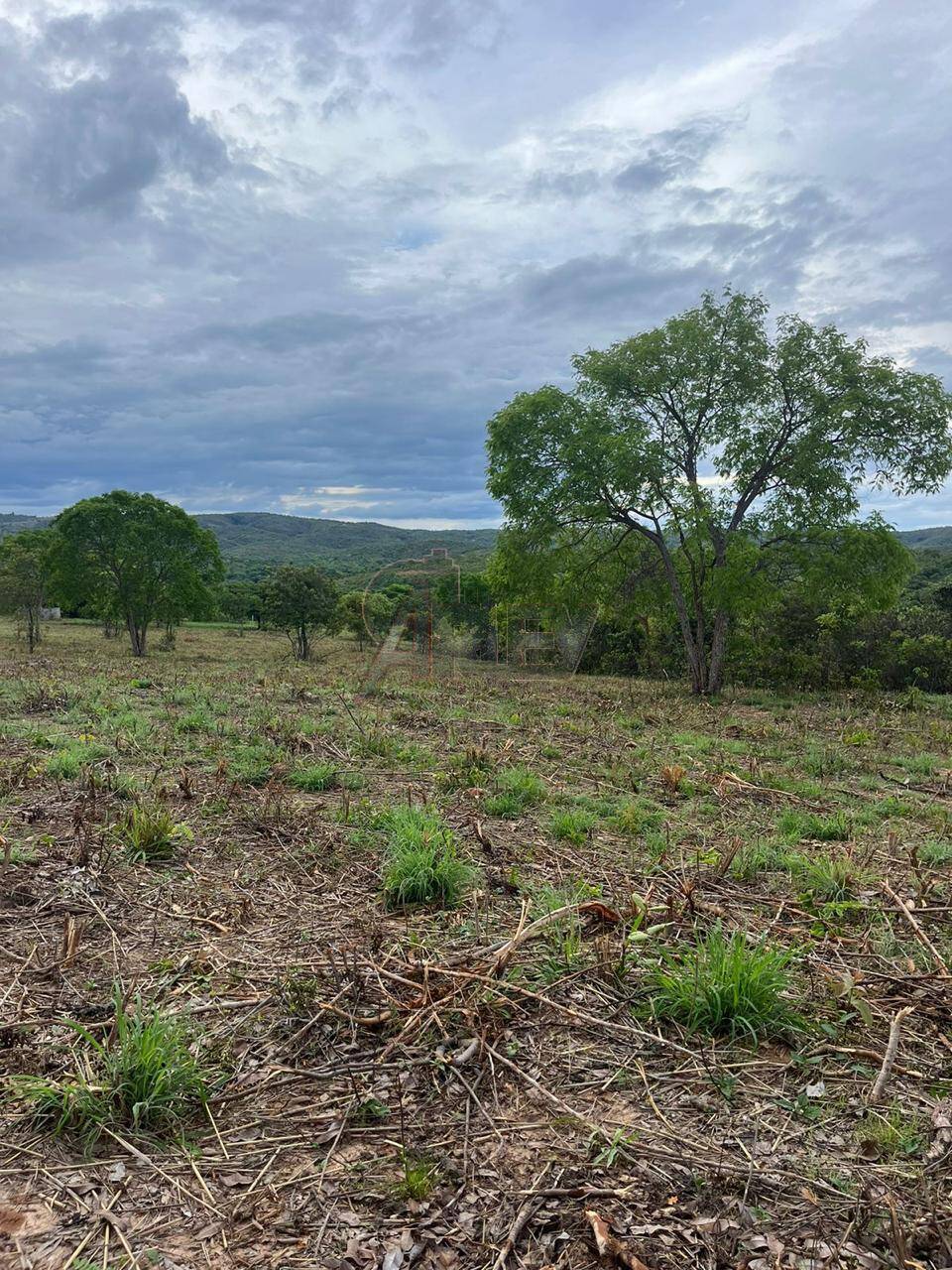 Terreno, 2 hectares - Foto 4